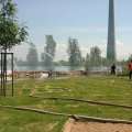 IMG_8471