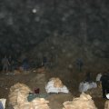 IMG_8656